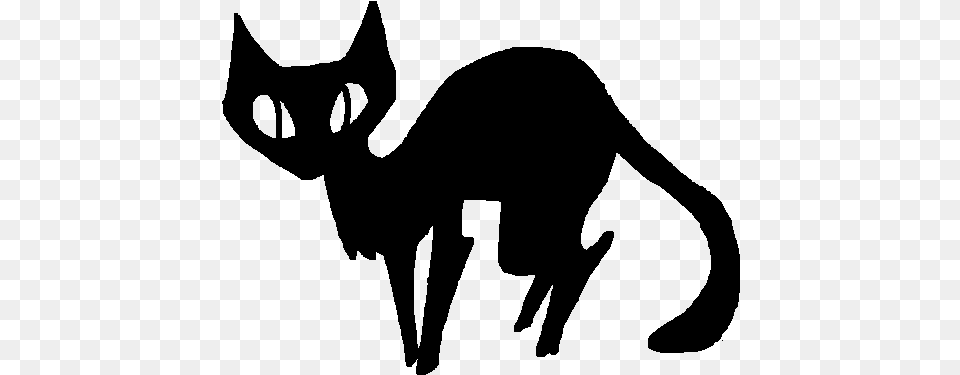 Black Cat Gif Transparent, Gray Png Image