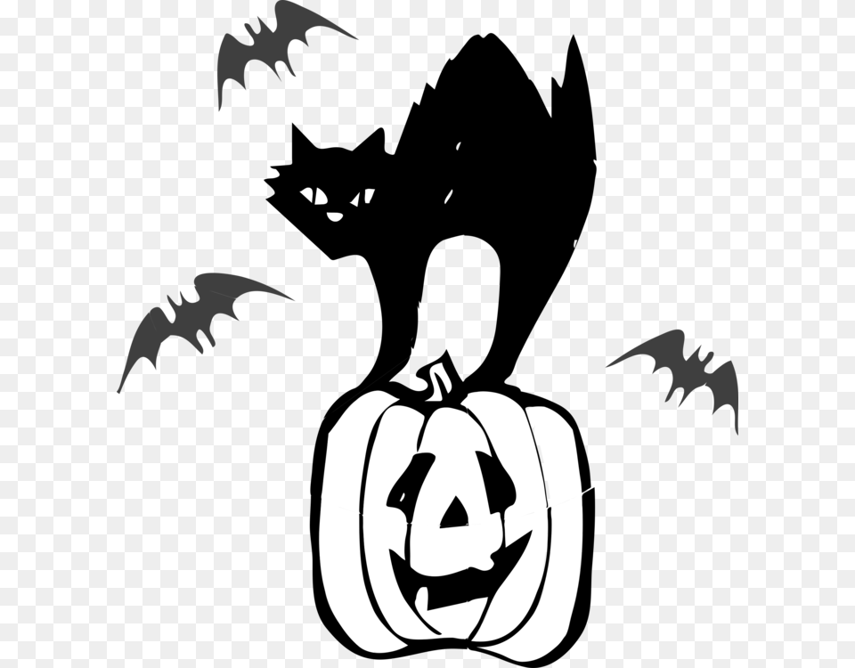 Black Cat Halloween Jack O Lantern Kitten, Stencil, Baby, Person, Body Part Free Png Download