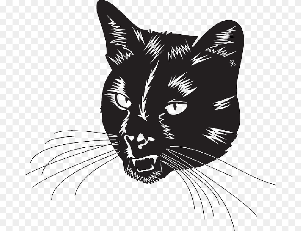 Black Cat Head With Whiskers, Animal, Mammal, Pet, Black Cat Png Image