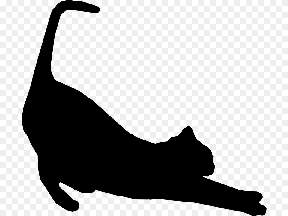 Black Cat Icon Cat Silhouette Clipart, Gray Free Png Download