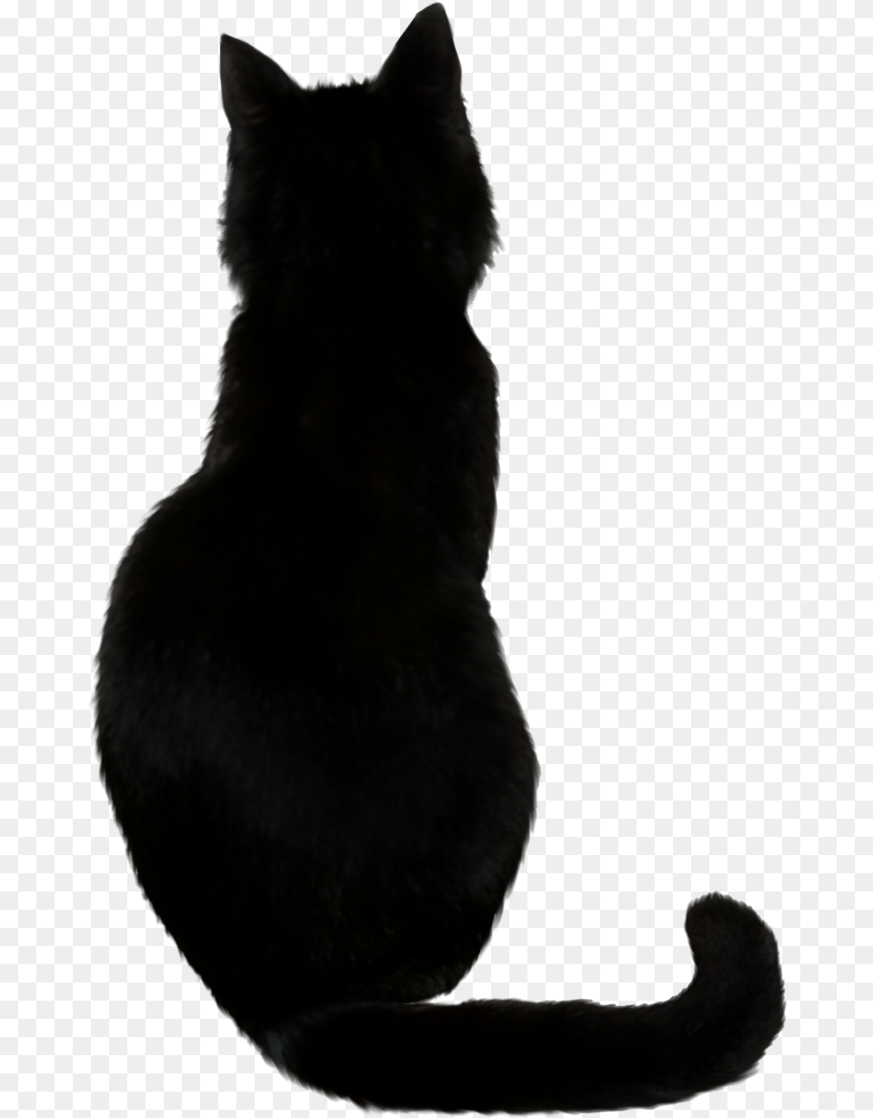 Black Cat Kitten Drawing Black Cat Vector, Animal, Black Cat, Mammal, Pet Free Png Download