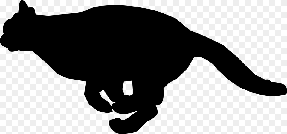 Black Cat Kitten Felidae Running, Gray Free Png