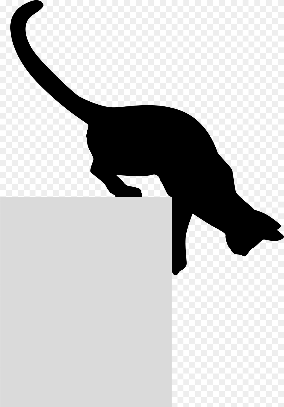 Black Cat Kitten Silhouette Felidae Cat Silhouette Looking Down, Gray Png