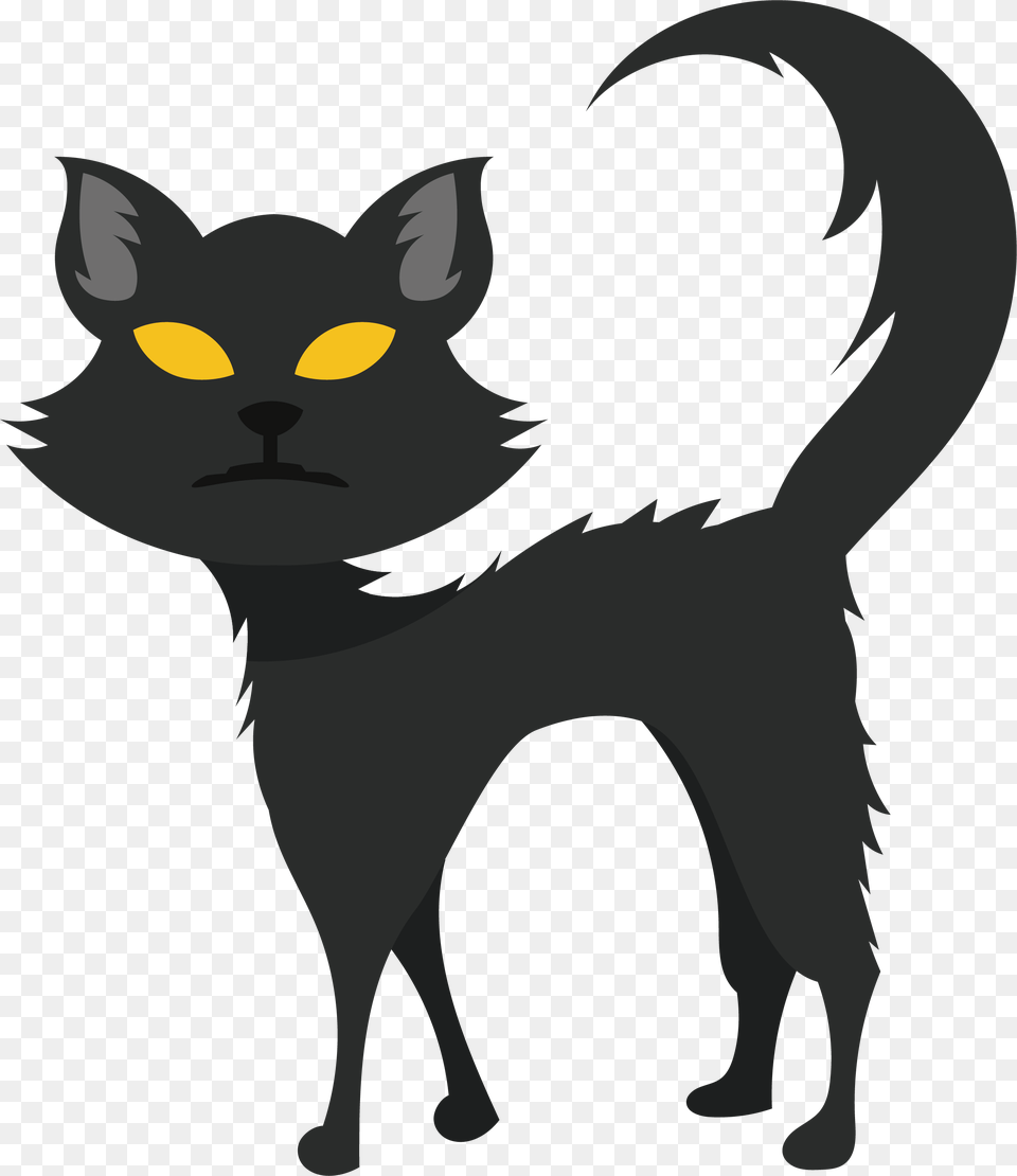 Black Cat Kitten Whiskers Domestic Short Haired Cat Cat, Animal, Mammal, Pet, Black Cat Png Image