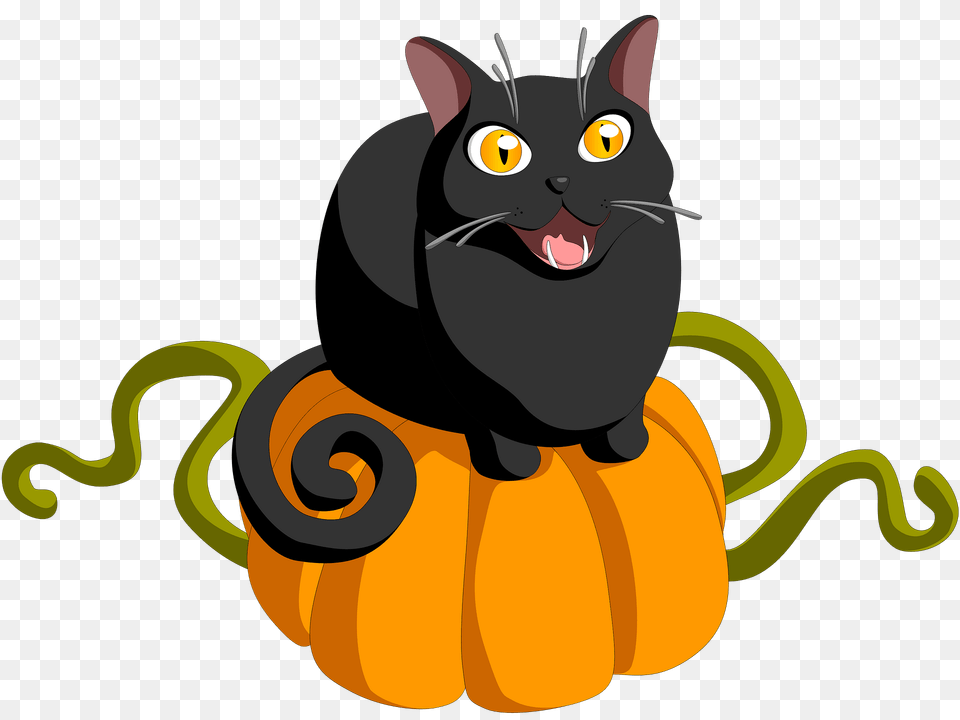 Black Cat On A Pumpkin Clipart, Animal, Mammal, Pet, Food Free Png