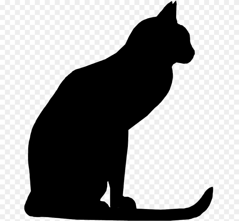 Black Cat Silhouette, Animal, Mammal, Pet Free Png Download