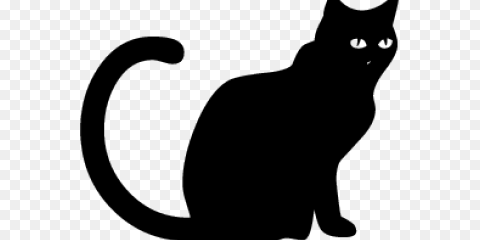 Black Cat Silhouette, Animal, Mammal, Pet, Black Cat Free Png