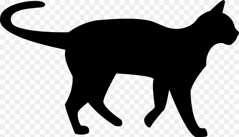 Black Cat Silhouette, Animal, Mammal, Pet, Canine Free Png Download