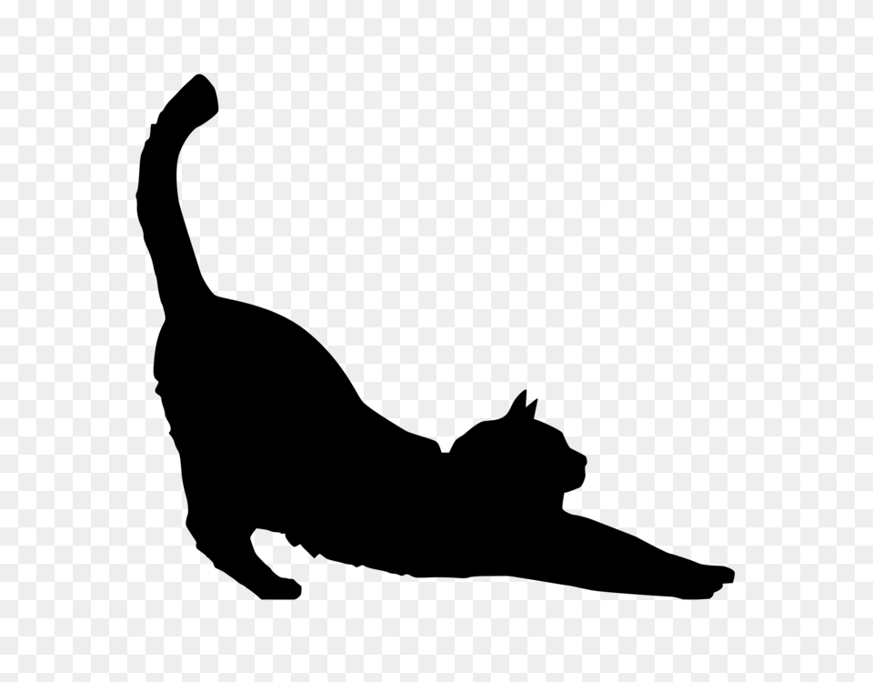 Black Cat Silhouette Kitten, Gray Png