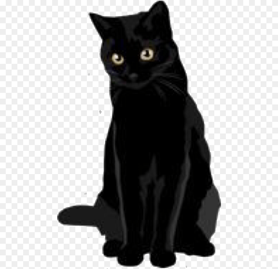 Black Cat Stickers, Animal, Pet, Mammal, Black Cat Free Png