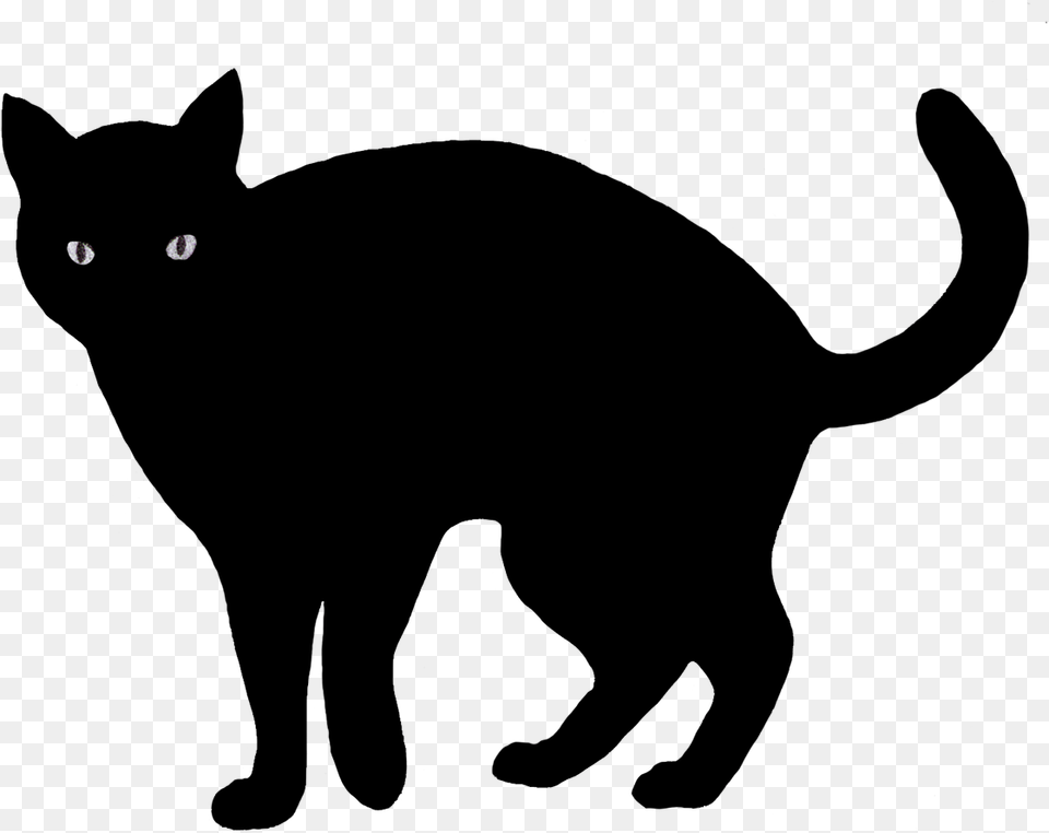 Black Cat Transparent Image Black Cat For Halloween Free Png Download