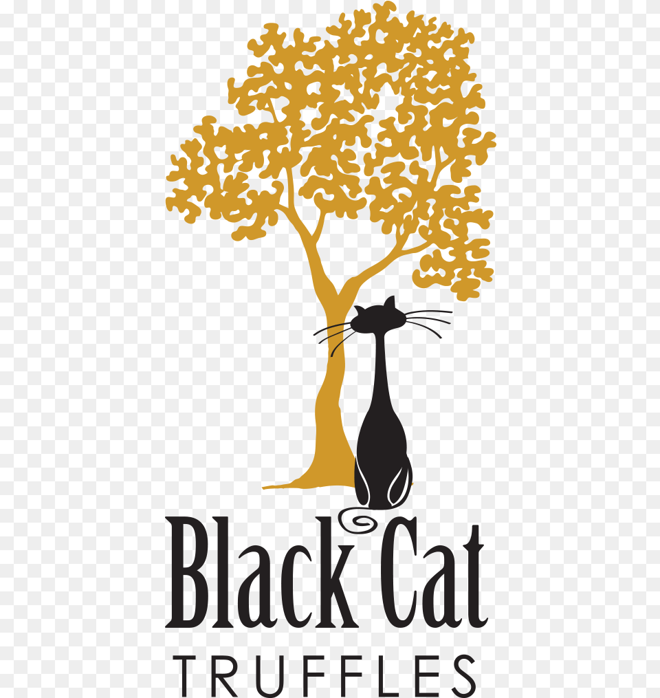 Black Cat Truffles Illustration, Plant, Tree, Book, Publication Free Png