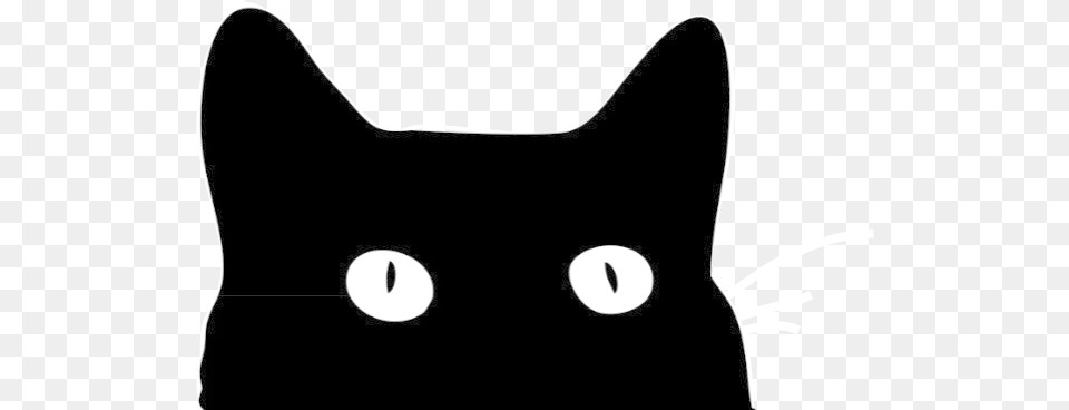 Black Cat Tumblr, Animal, Pet, Mammal, Black Cat Png