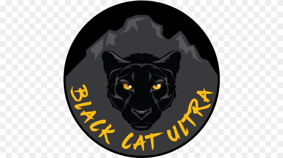 Black Cat Ultra Cougar, Animal, Mammal, Panther, Wildlife Free Png