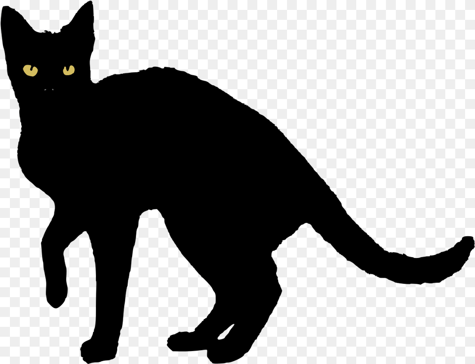 Black Cat Vector Png