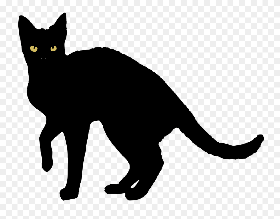 Black Cat Vector Nevit Png Image