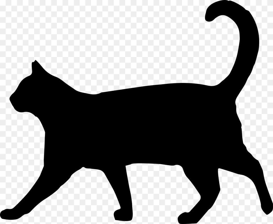 Black Cat Walking Silhouette, Gray Free Png