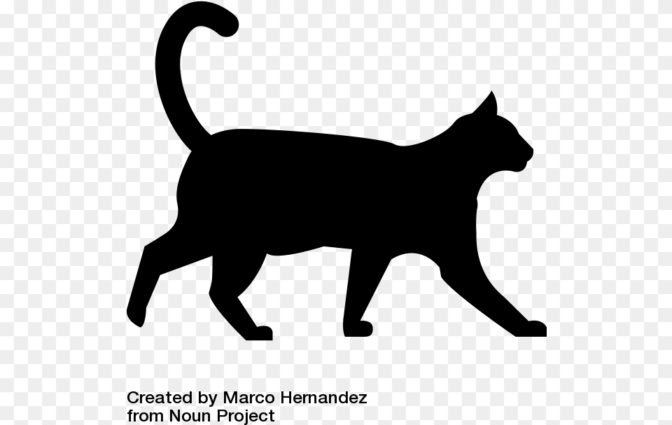 Black Cat Walking With White Background, Gray Png Image