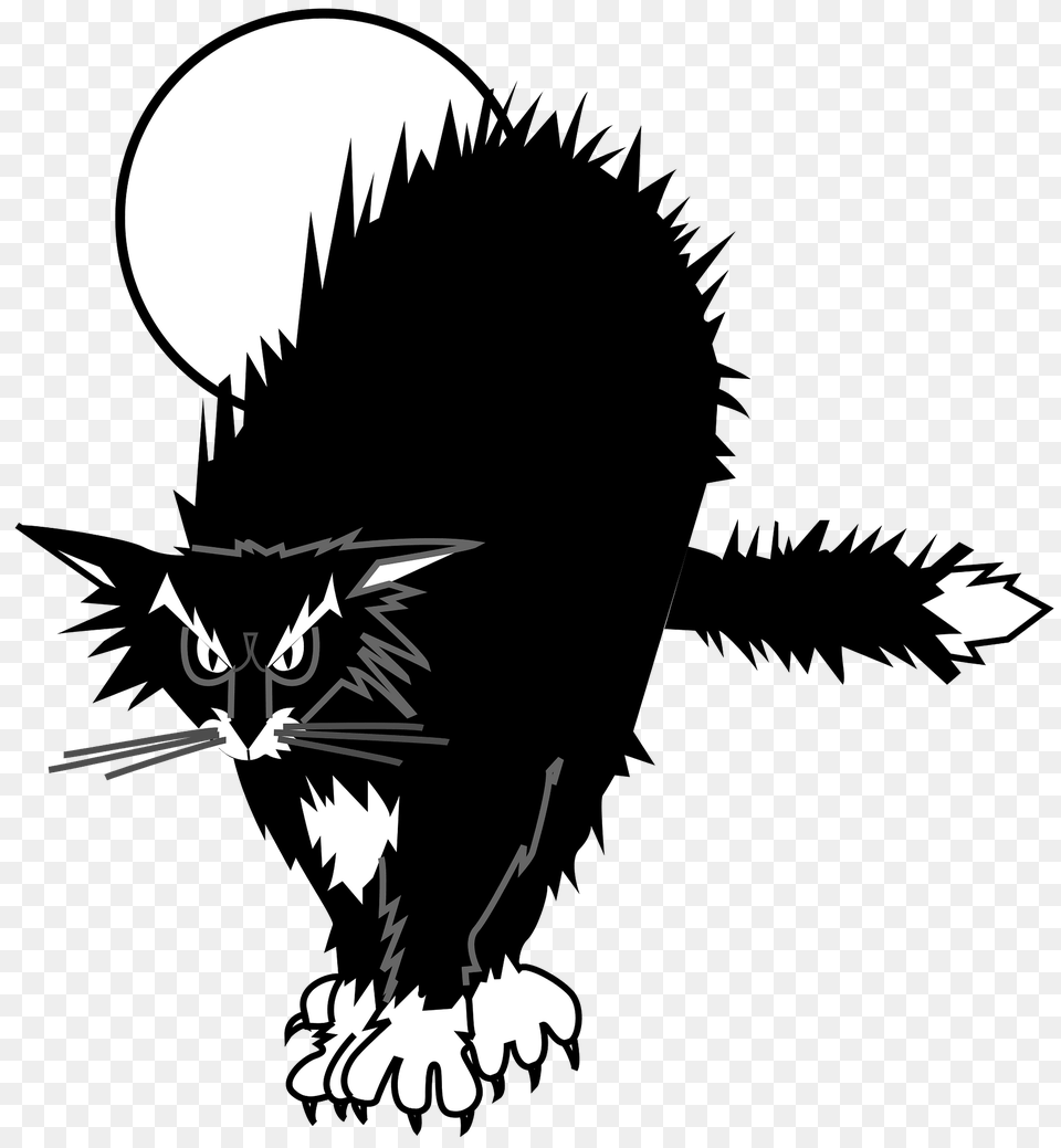 Black Cat With Hackles Raised Clipart, Animal, Mammal, Pet, Dinosaur Free Png Download