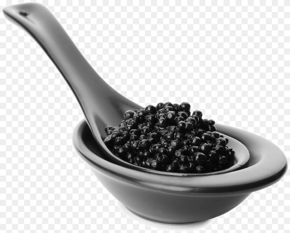 Black Caviar Ceramic, Cutlery, Spoon, Bowl Free Transparent Png