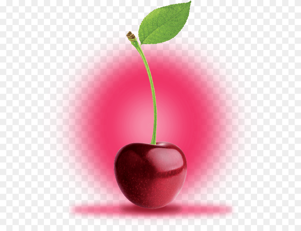 Black Cherry, Food, Fruit, Plant, Produce Free Png