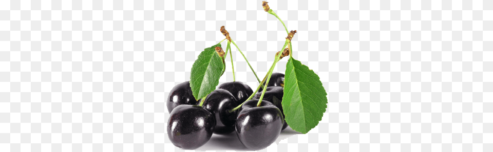 Black Cherry Image Dlpngcom Black Cherry, Food, Fruit, Plant, Produce Free Png