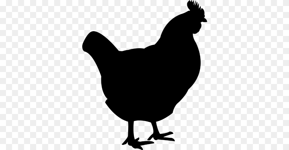 Black Chicken Cliparts, Gray Free Transparent Png