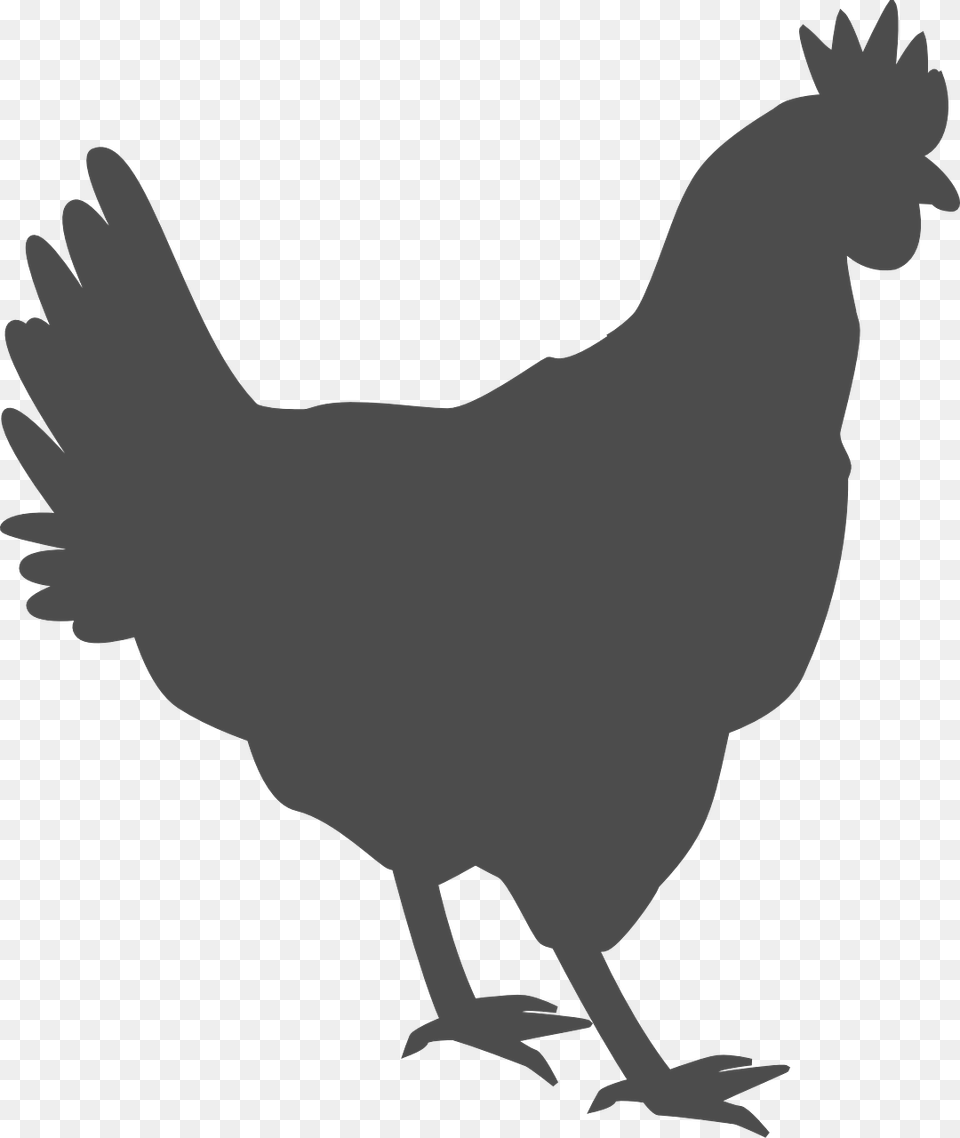 Black Chicken Outline, Animal, Bird, Fowl, Hen Free Transparent Png