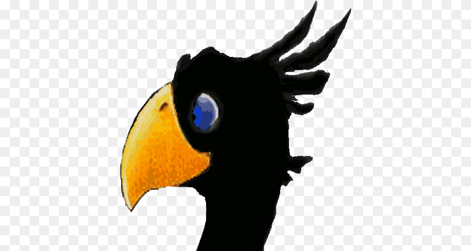 Black Chocobo U2013 Appimagehub Eagle, Animal, Beak, Bird, Person Free Transparent Png