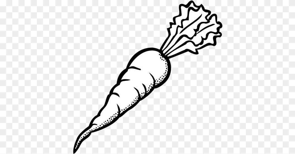 Black Clip Art Carrot Black And White Clipart Of Carrot, Food, Plant, Produce, Vegetable Png Image