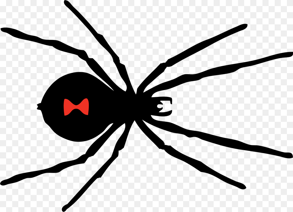 Black Clipart, Animal, Invertebrate, Spider, Black Widow Png