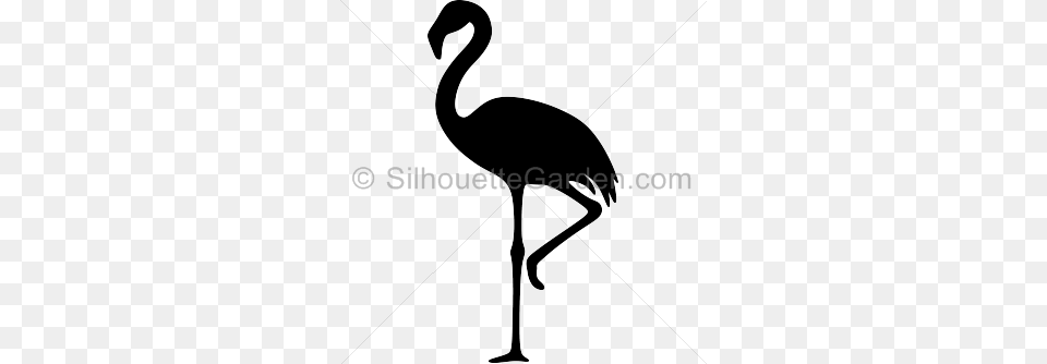 Black Clipart Flamingo, Animal, Bird, Crane Bird, Waterfowl Free Png