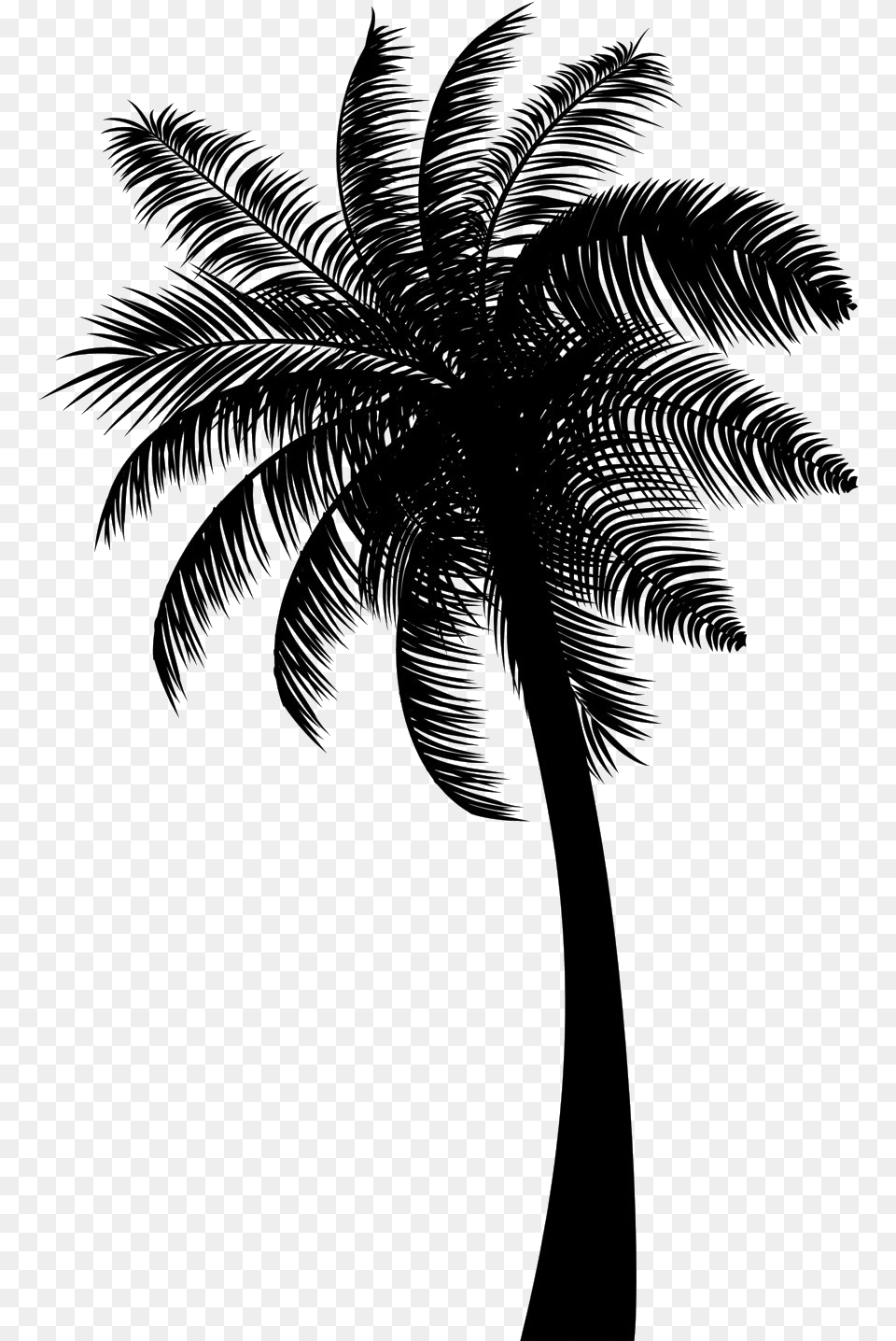 Black Coconut Tree Black Coconut Tree, Palm Tree, Plant, Art, Fern Free Png Download