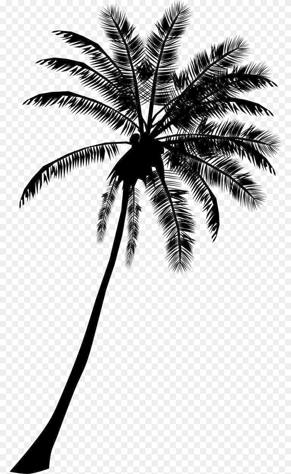 Black Coconut Tree Silhouette Palm Tree, Plant, Palm Tree, Art, Fern Free Png Download