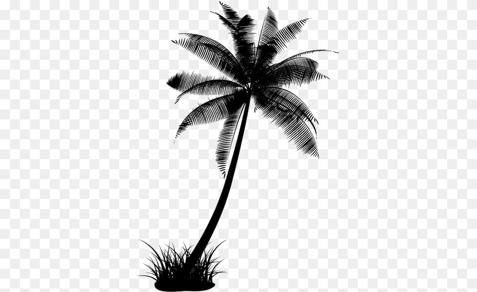 Black Coconut Tree Transparent Coconut Tree Black, Palm Tree, Plant, Silhouette Png