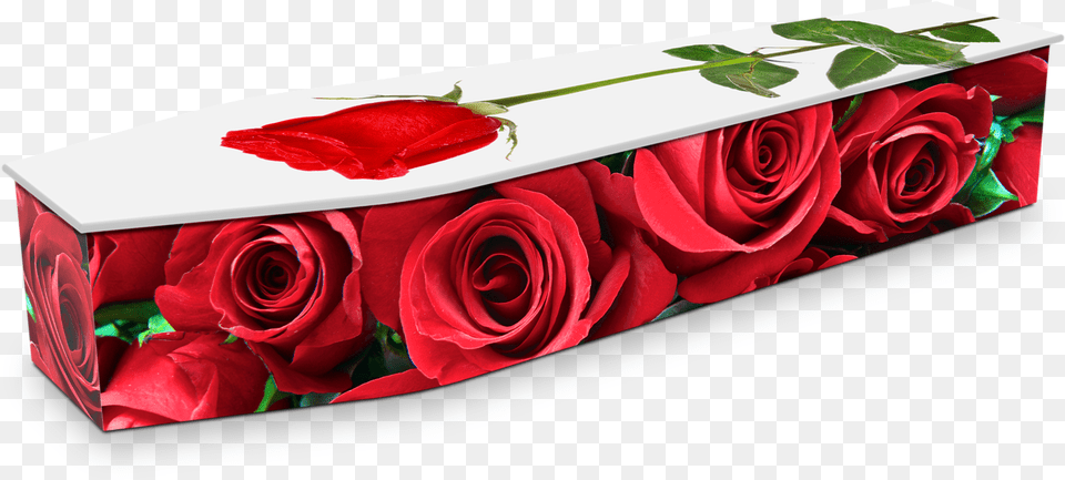 Black Coffin With Roses, Flower, Plant, Rose, Flower Arrangement Free Transparent Png