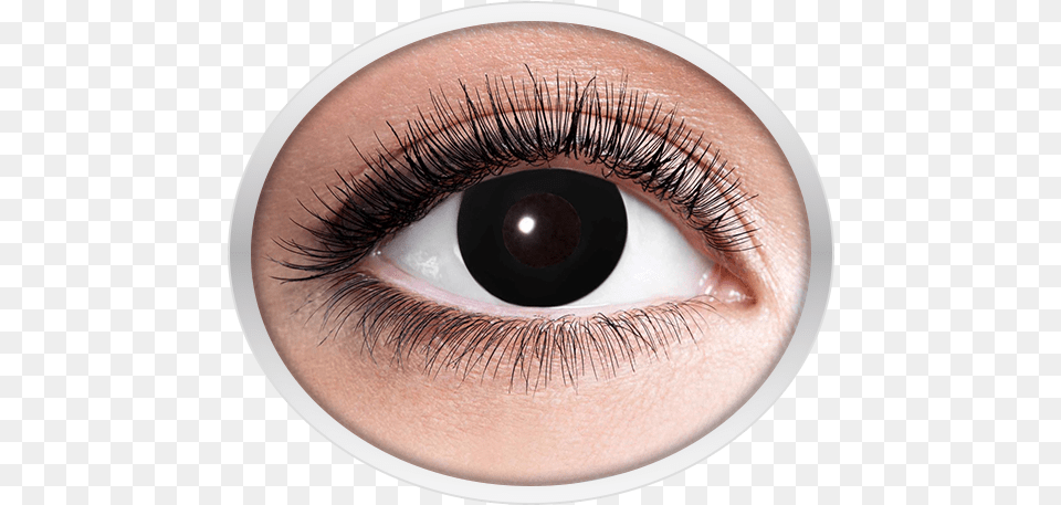 Black Contact Lenses Eyes Lens Golden, Person, Contact Lens Free Png Download