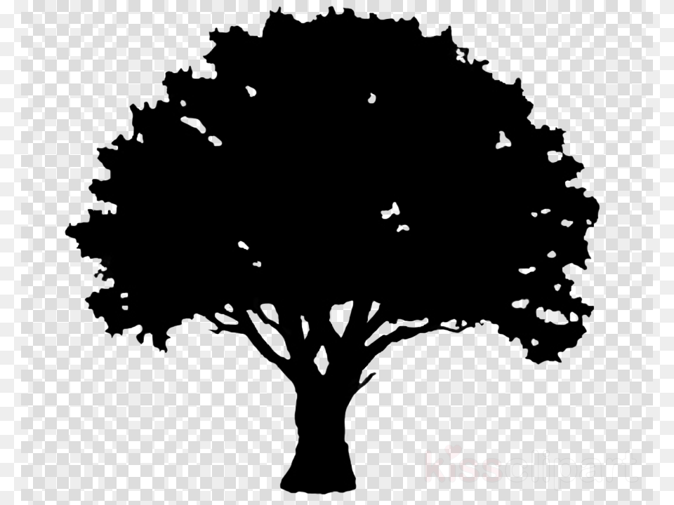 Black Cowboy Hat, Plant, Silhouette, Tree, Art Free Png