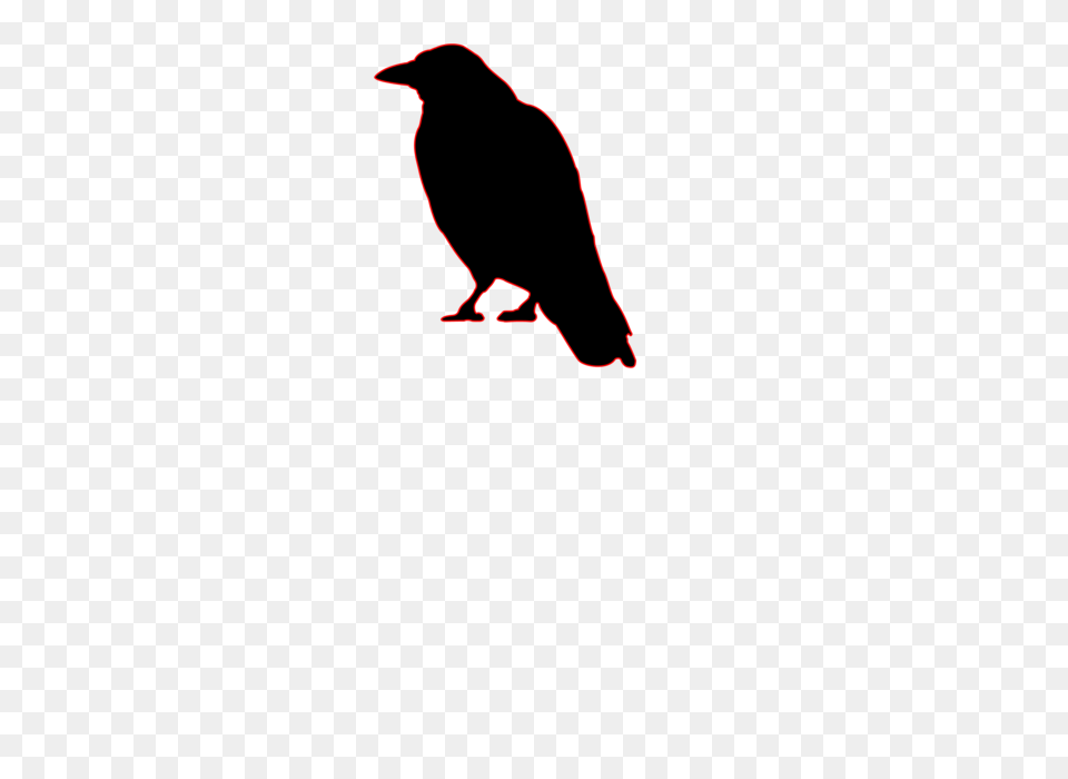 Black Crow Illustration, Animal, Beak, Bird Free Transparent Png