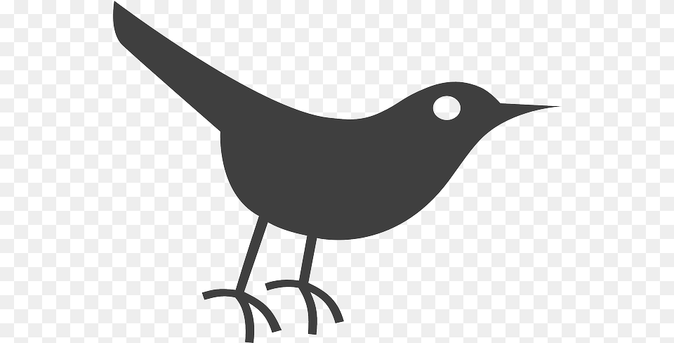 Black Crow Twitter Bird Icon Cartoon Jingfm Bird Icon, Animal, Blackbird, Bow, Weapon Free Png