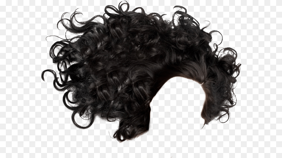 Black Curly Hair, Adult, Female, Person, Woman Free Transparent Png