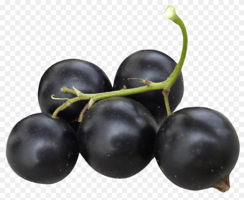 Black Currant Image, Food, Fruit, Plant, Produce Free Transparent Png