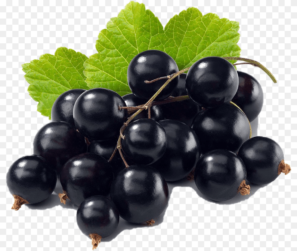 Black Currant Image Transparent Black Currant, Berry, Food, Fruit, Plant Free Png Download