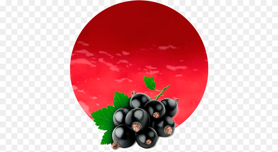 Black Currant No Background, Berry, Blueberry, Food, Fruit Free Png