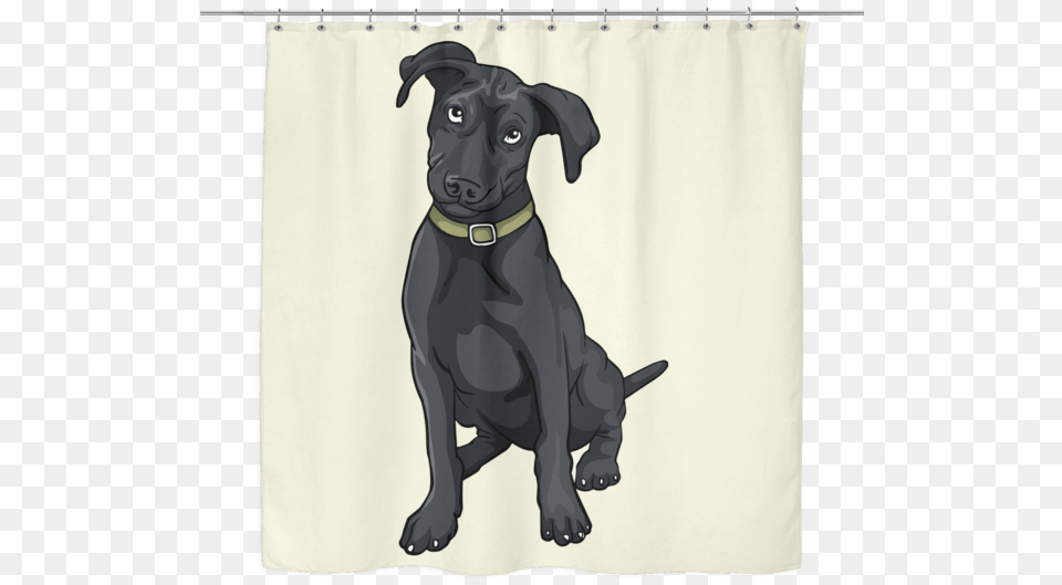 Black Curtains, Animal, Canine, Dog, Mammal Free Png Download