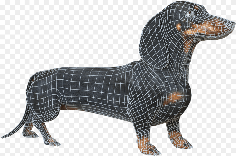 Black Dachshund Dachshund, Snout, Cad Diagram, Diagram, Art Png Image