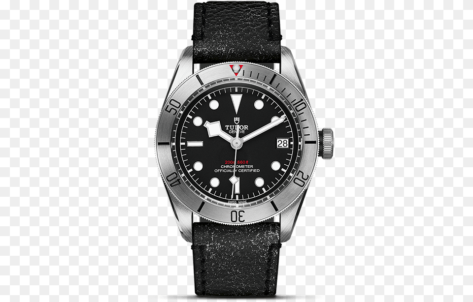 Black Dial Tudor Black Bay Steel, Arm, Body Part, Person, Wristwatch Png