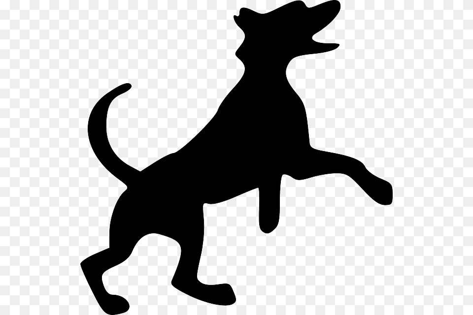 Black Dog Animal Image Pngriver All Black Dog Cartoon, Silhouette, Stencil, Kangaroo, Mammal Free Png