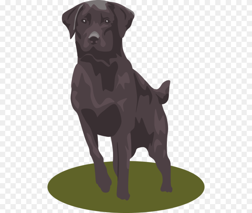 Black Dog Clip Art, Animal, Canine, Labrador Retriever, Mammal Free Transparent Png