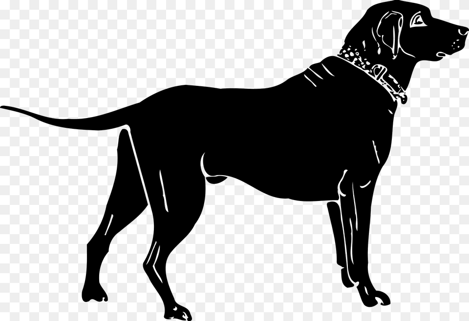 Black Dog Stencil Clipart, Animal, Canine, Mammal, Pet Free Png